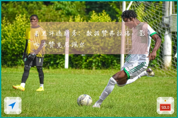 老里评选新秀:数据赞弗拉格,影响力赞克尼佩尔