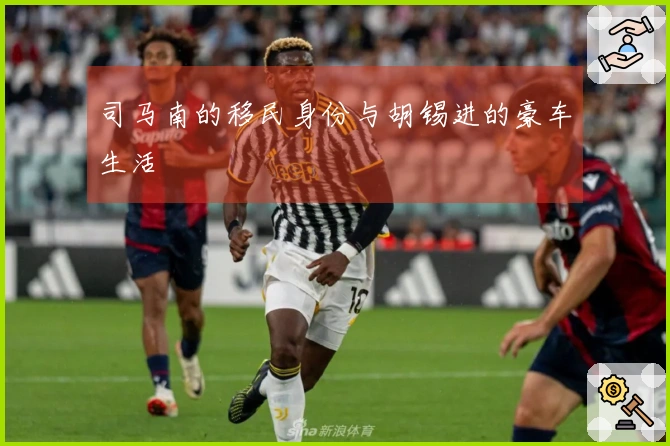 司马南的移民身份与胡锡进的豪车生活